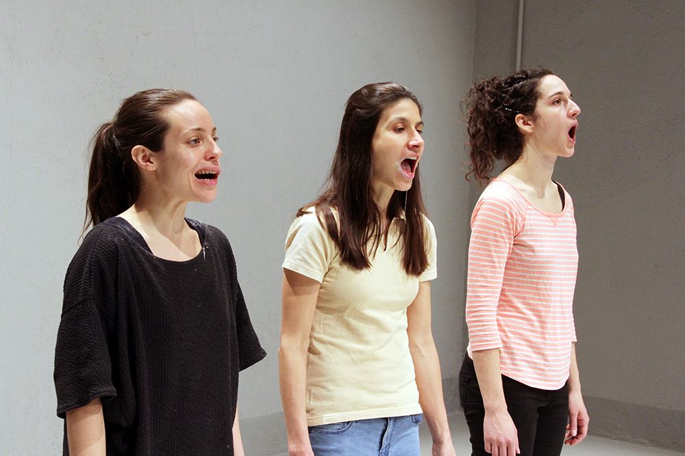 Jasmin Hoffer / Sara Lanner / Liv Schellander – Volume