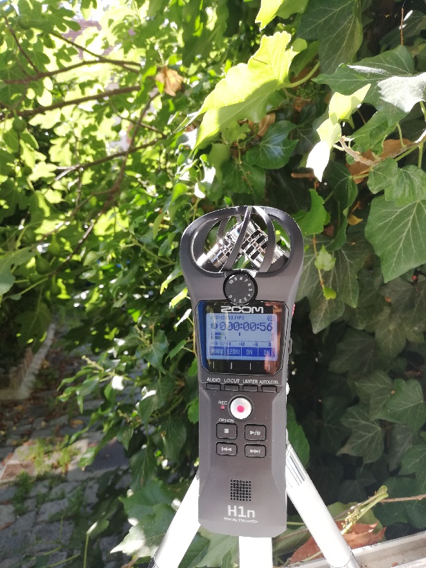 Say it mobile! Mobiles Radiomachen im Park