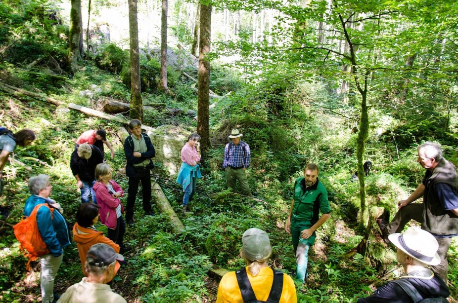 Wald der Zukunft – Führung im Echerntal bei Hallstatt
