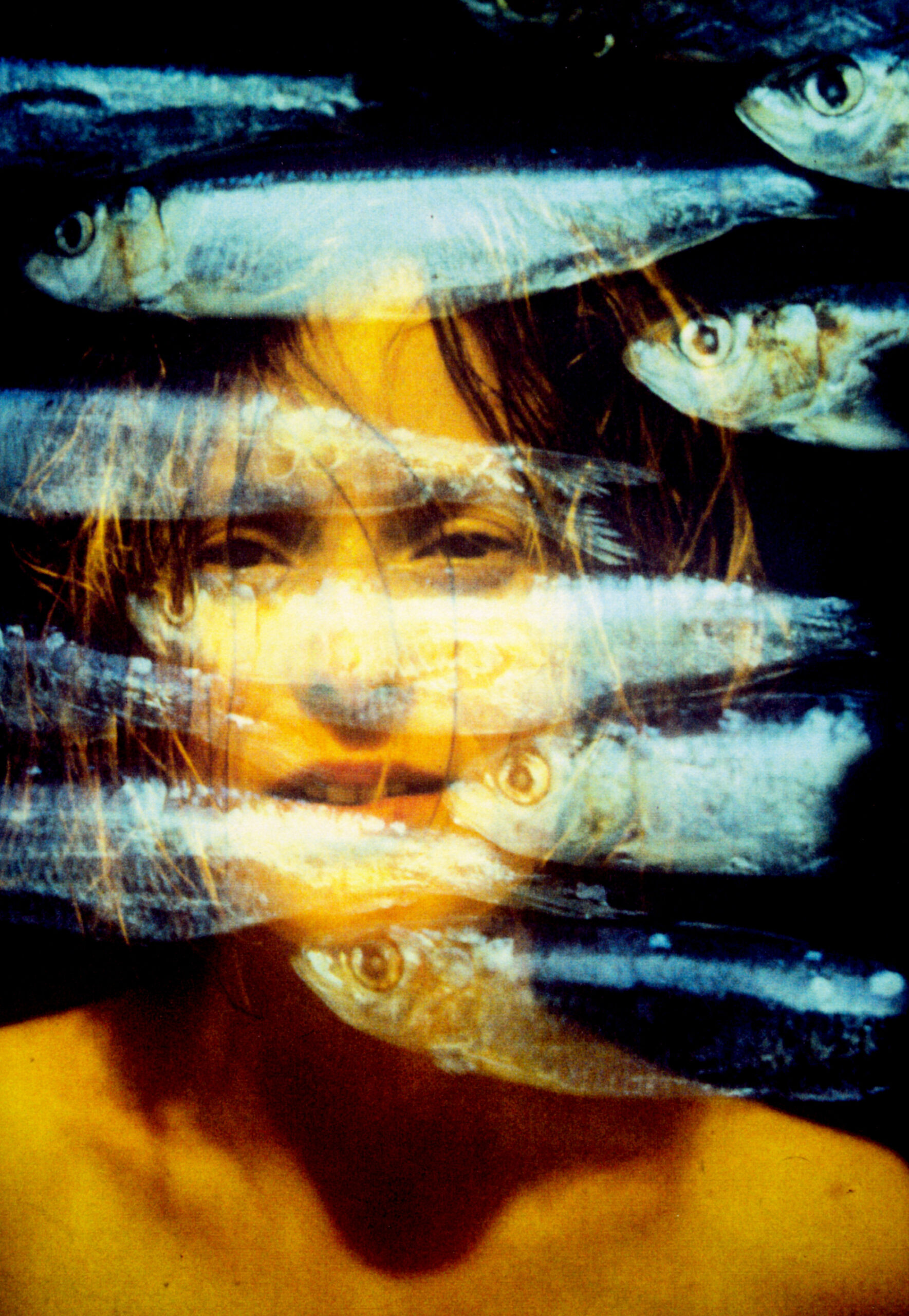 THE GREAT LEARNING – LIMITS