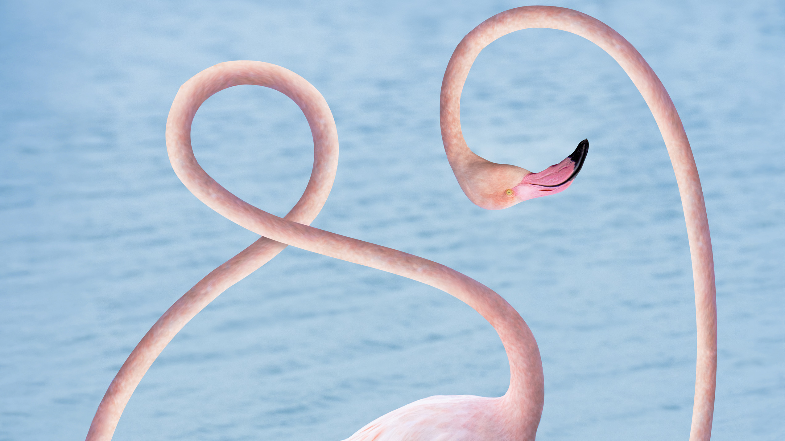 imagetanz Closing Party mit DJ-Set von Yinna presented by The Gap